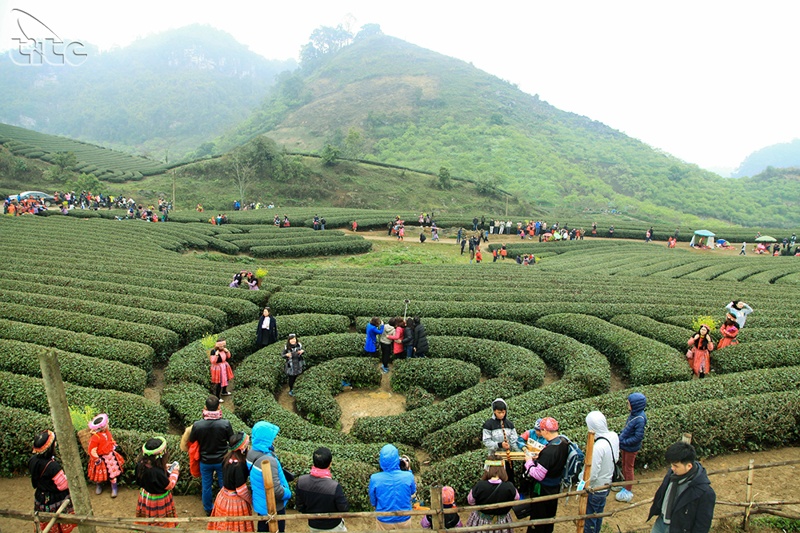 du lịch cao nguyên - Hình 4