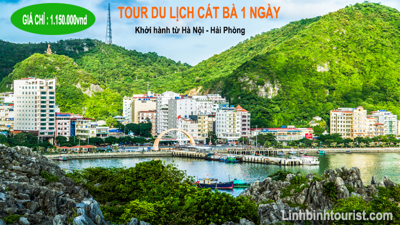 du lịch cát bà 1 ngày - Hình 4