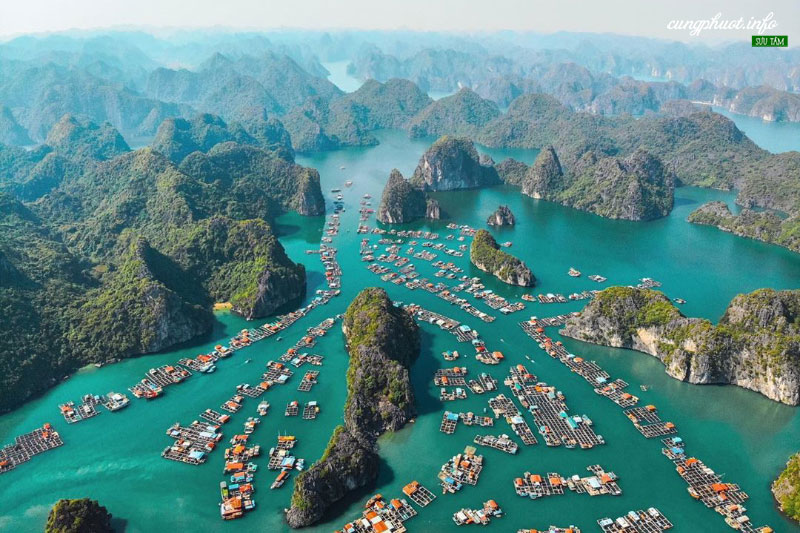 du lịch cát bà ở đâu - Hình 5