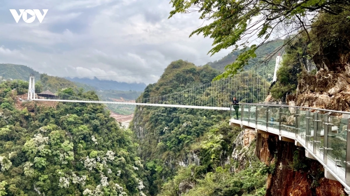 du lịch cầu kính mộc châu - Hình 5