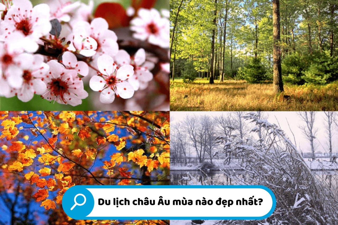 du lịch châu âu mùa nào đẹp - Hình 3