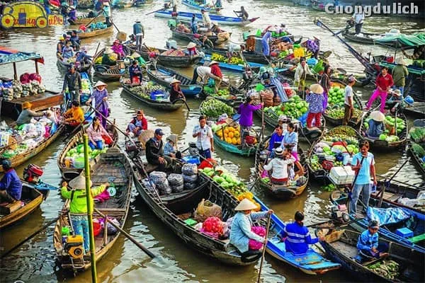 du lịch chợ nổi cái răng tự túc - Hình 2