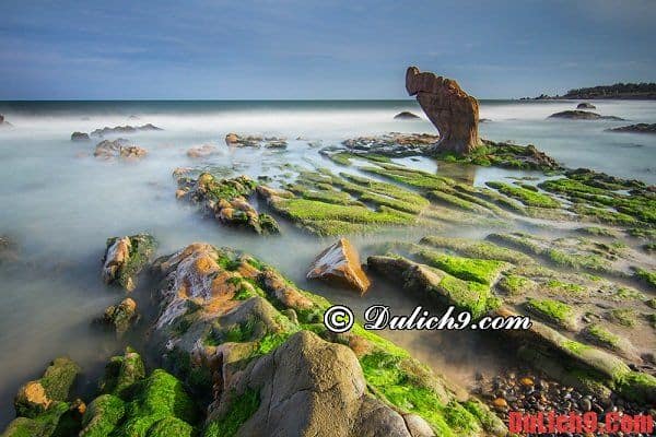 du lịch cổ thạch tự túc - Hình 5