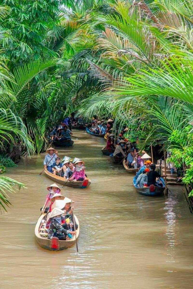 du lịch cồn phụng tiền giang - Hình 4