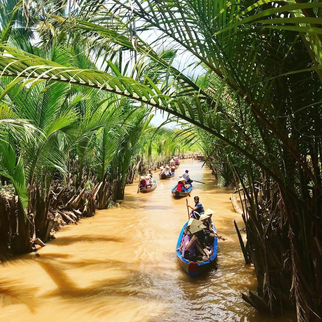du lịch cồn thới sơn tự túc - Hình 2