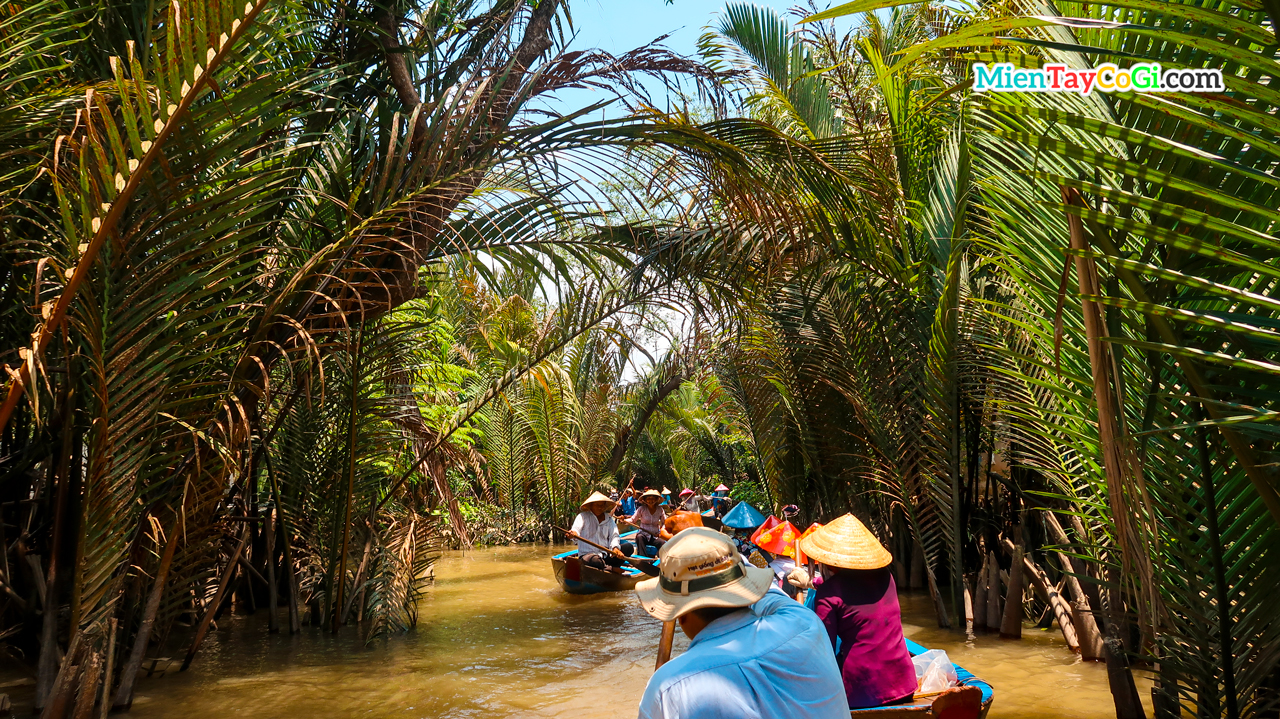 du lịch cồn thới sơn tự túc - Hình 3