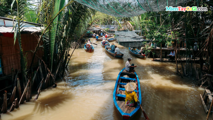 du lịch cồn thới sơn tự túc - Hình 4