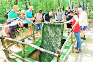 du lịch củ chi 1 ngày