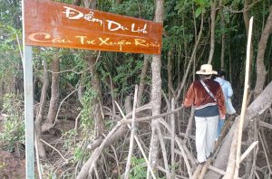 du lịch cù lao dung