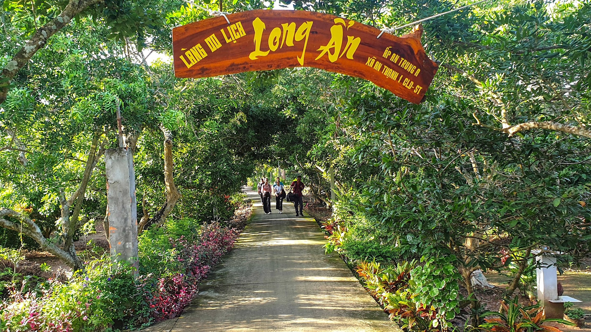du lịch cù lao dung - Hình 5