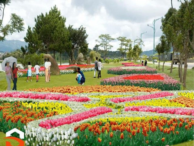 du lịch đà lạt giá rẻ - Hình 2