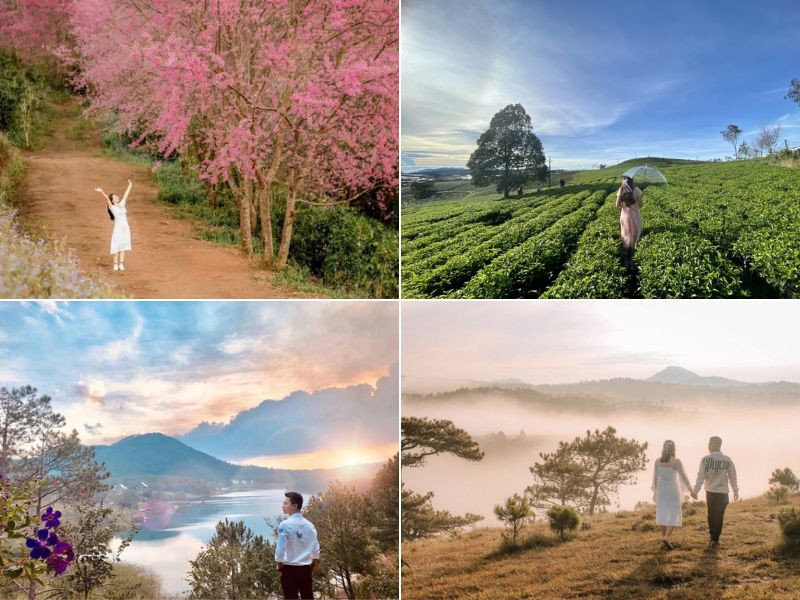 du lịch đà lạt tháng 1 - Hình 2