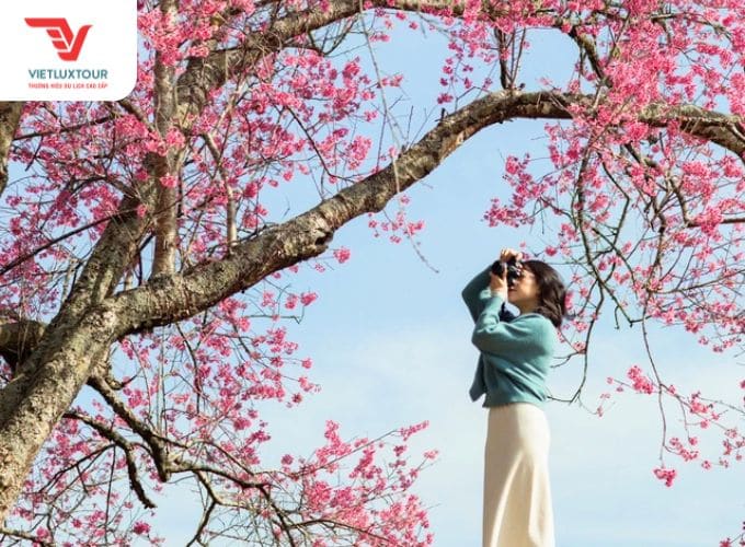 du lịch đà lạt tháng 1 - Hình 3