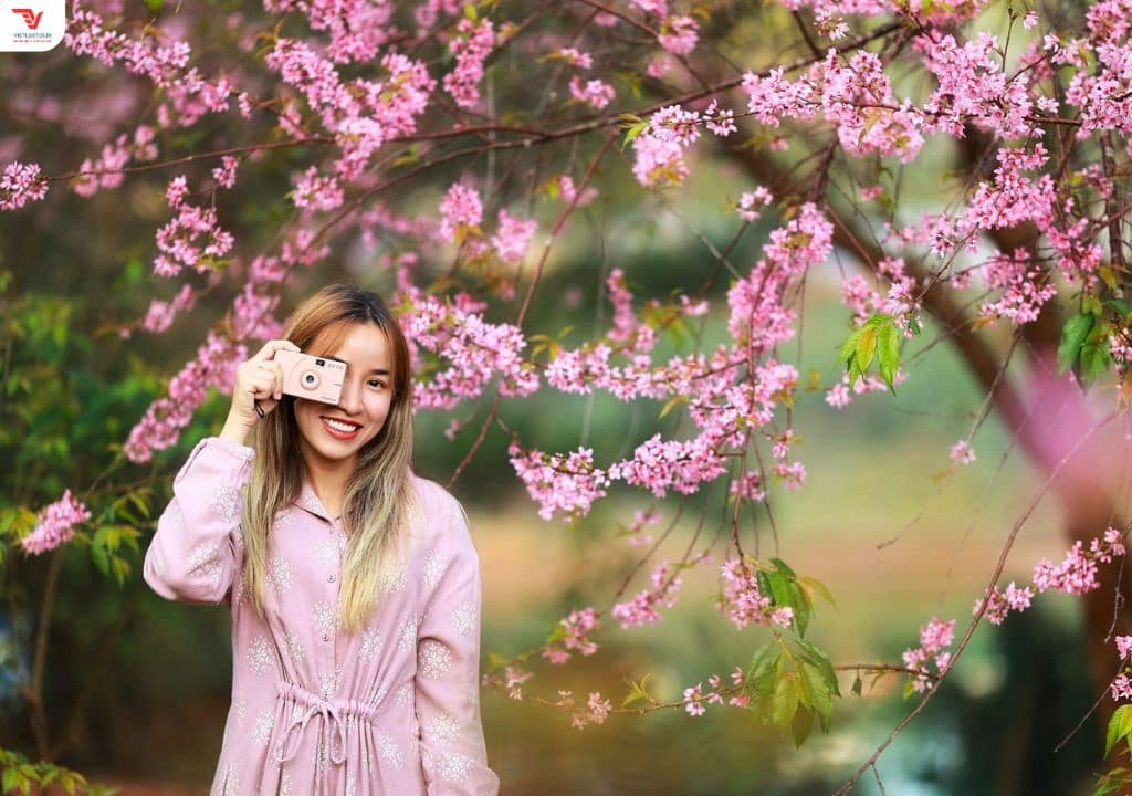 du lịch đà lạt tháng 1 - Hình 5