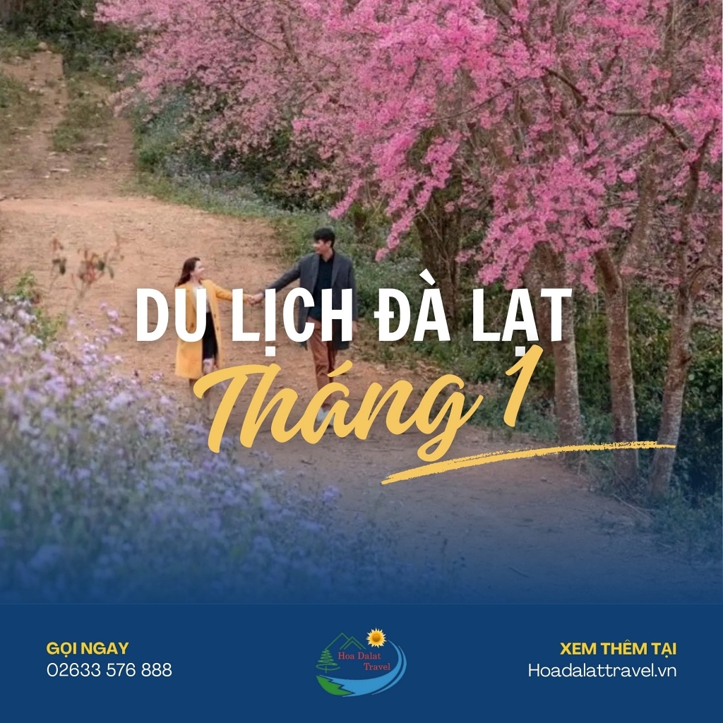 du lịch đà lạt tháng 1 - Hình 1