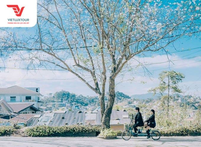 du lịch đà lạt tháng 12 - Hình 2