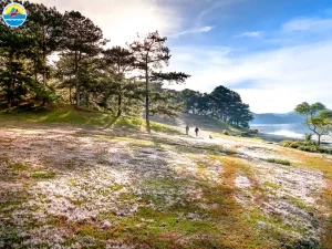 du lịch đà lạt tháng 12