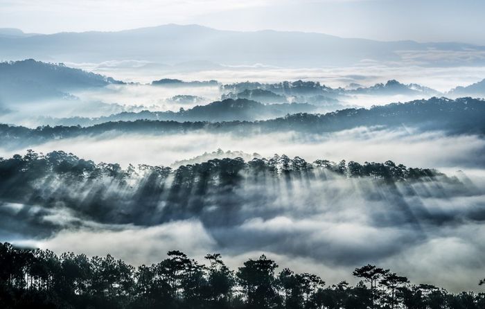 du lịch đà lạt tháng 7 - Hình 3