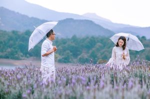 du lịch đà lạt tháng 7