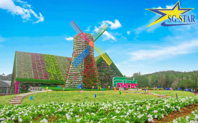 du lịch đà lạt tự túc 2 ngày 1 đêm - Hình 5