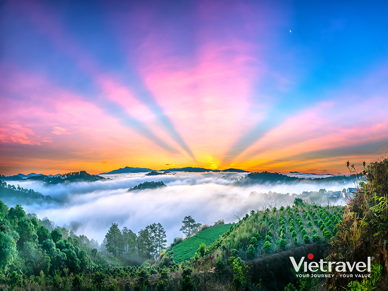 du lịch đà lạt vietravel - Hình 1