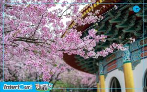 du lịch đài loan tháng 4