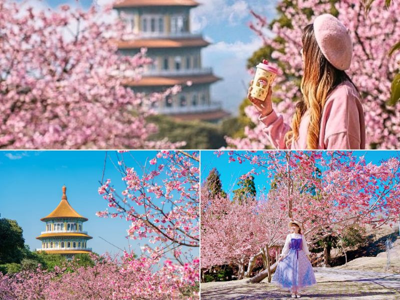 du lịch đài loan tháng 4 - Hình 5