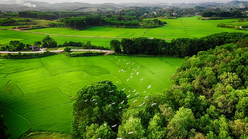 du lịch đầm hà quảng ninh - Hình 5