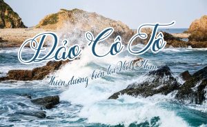du lịch đảo cô tô 3 ngày 2 đêm