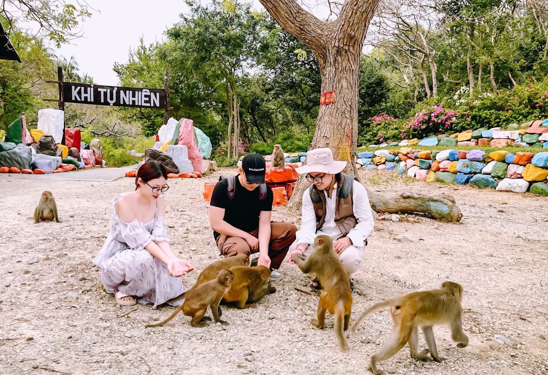 du lịch đảo khỉ nha trang - Hình 4