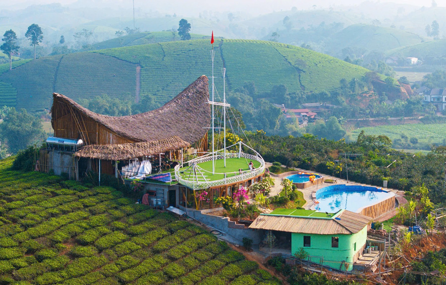 du lịch đồi chè long cốc - Hình 2