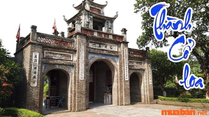 du lịch đông anh - Hình 4