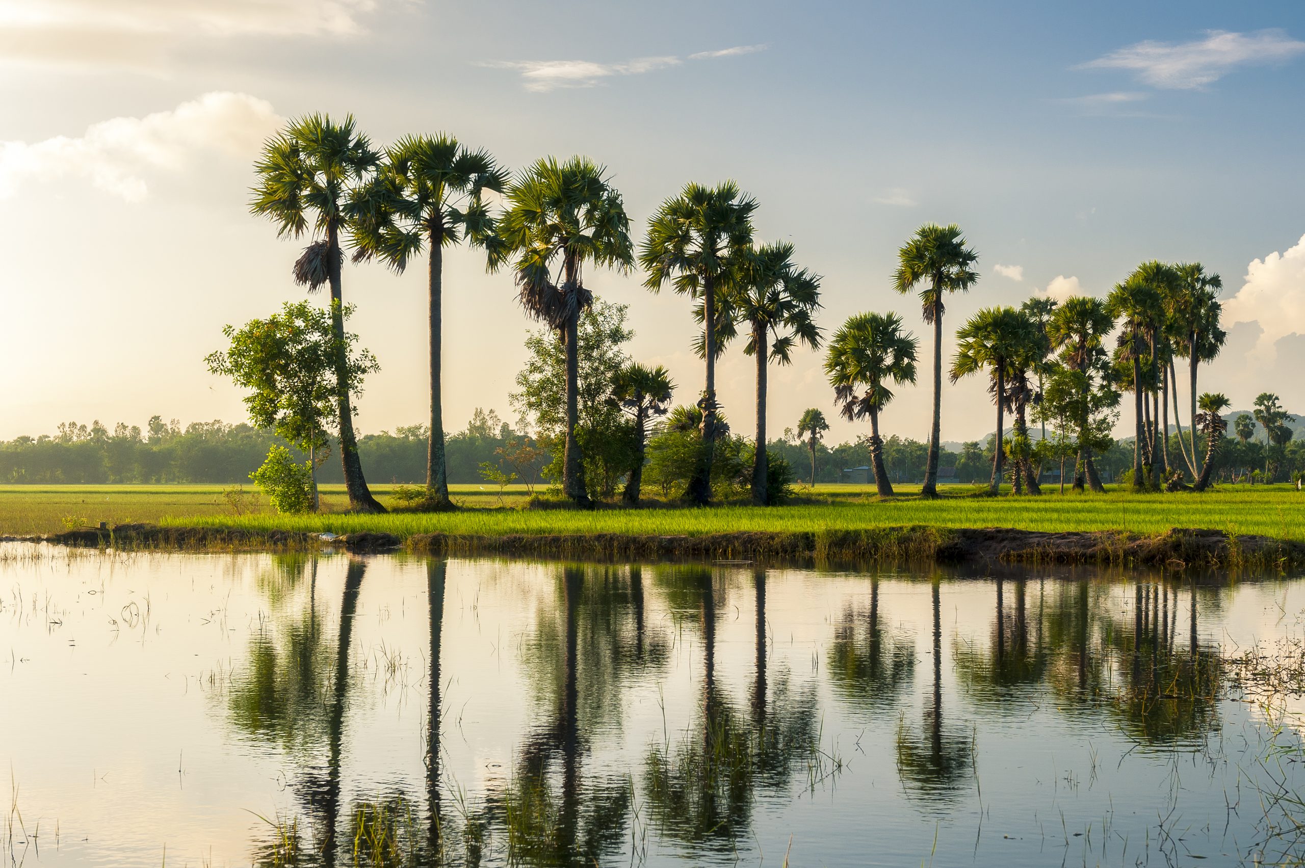 du lịch đồng tháp - an giang - Hình 4