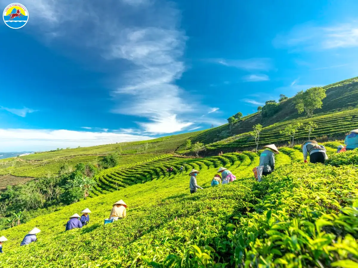 du lịch gia nghĩa - Hình 3