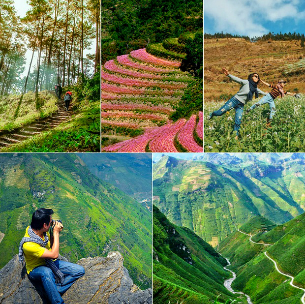 du lịch hà giang tháng 11 - Hình 2