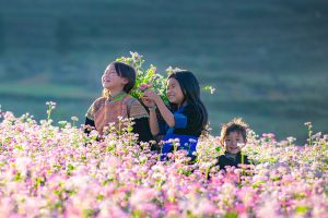 du lịch hà giang tháng 11