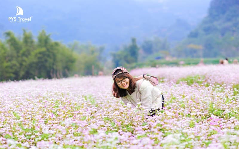 du lịch hà giang tháng 11 - Hình 4
