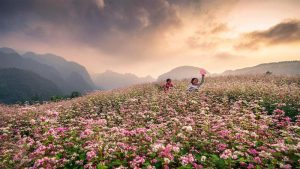 du lịch hà giang tháng 12