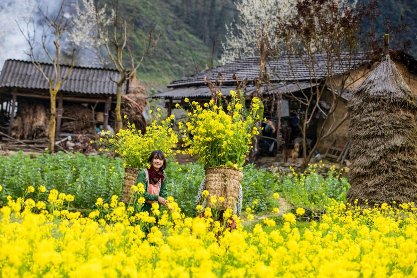 du lịch hà giang tháng 12 - Hình 5