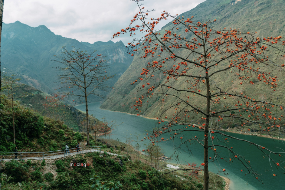 du lịch hà giang tháng 3 - Hình 3