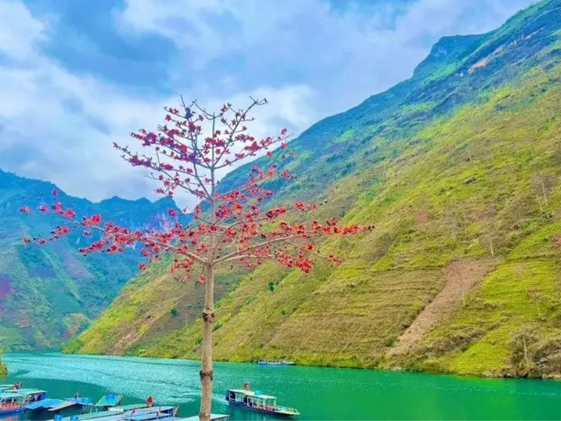 du lịch hà giang tháng 3 - Hình 4