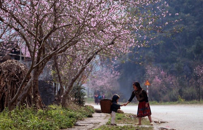 du lịch hà giang tháng 3 - Hình 1