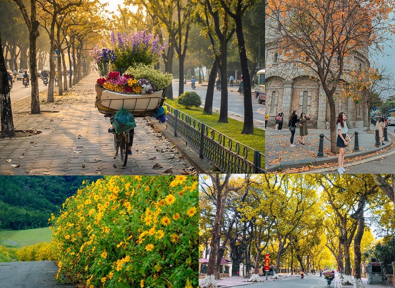 du lịch hà nội mùa nào đẹp nhất - Hình 3