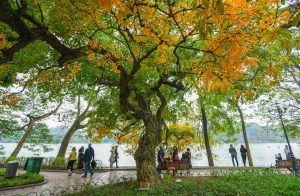du lịch hà nội mùa nào đẹp nhất