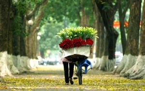 du lịch hà nội tháng 12