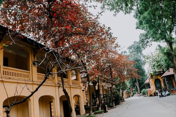 du lịch hà nội tháng 12 - Hình 5