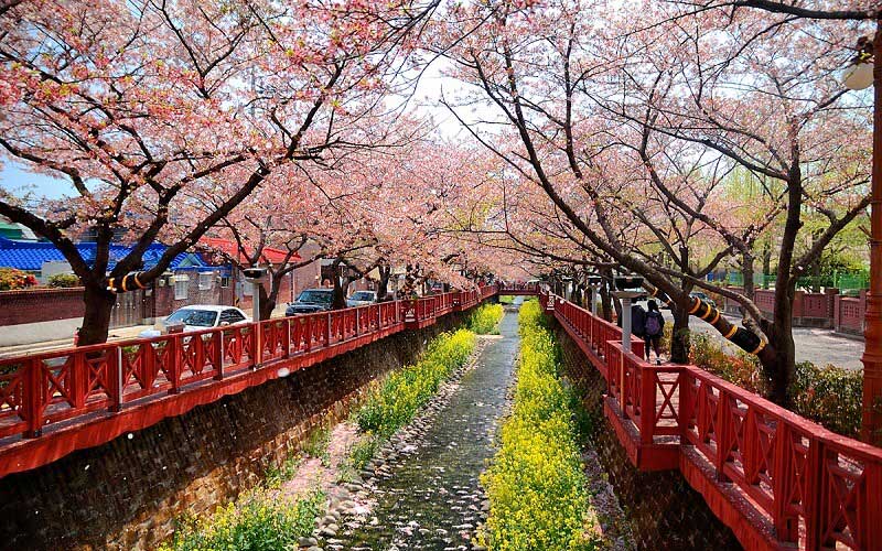 du lịch hàn quốc cần những gì - Hình 2