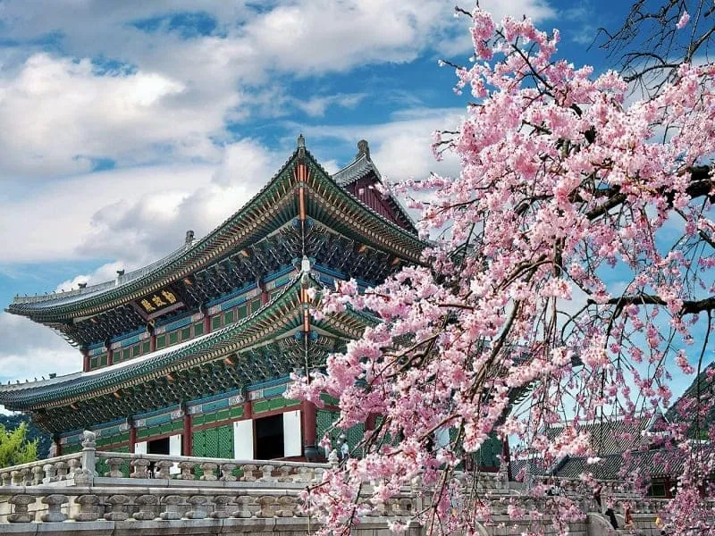 du lịch hàn quốc tháng 2 - Hình 3
