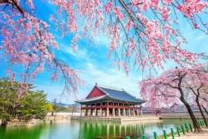 du lịch hàn quốc tháng 4