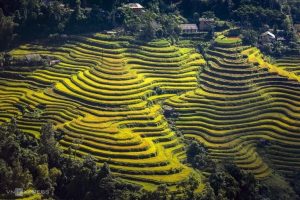 du lịch hoàng su phì